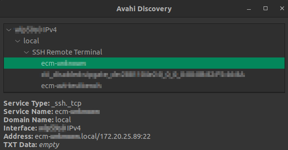 avahi-discover